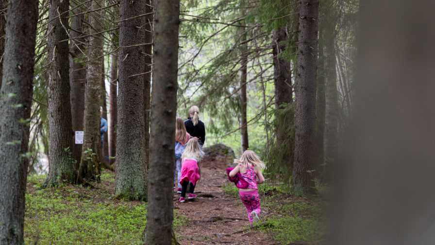 Lapsia juoksee metsässä