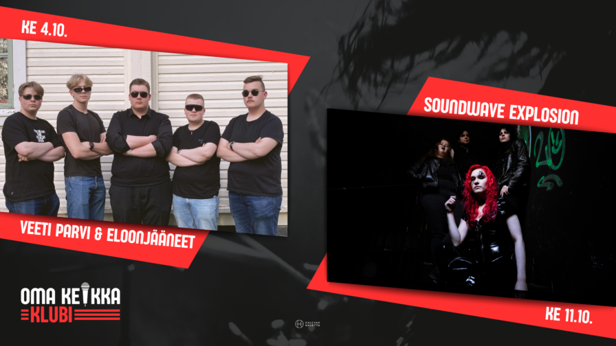 Kuvassa Yhtyeet Veeti Parvi & Eloonjääneet sekä Soundwave Explosion
